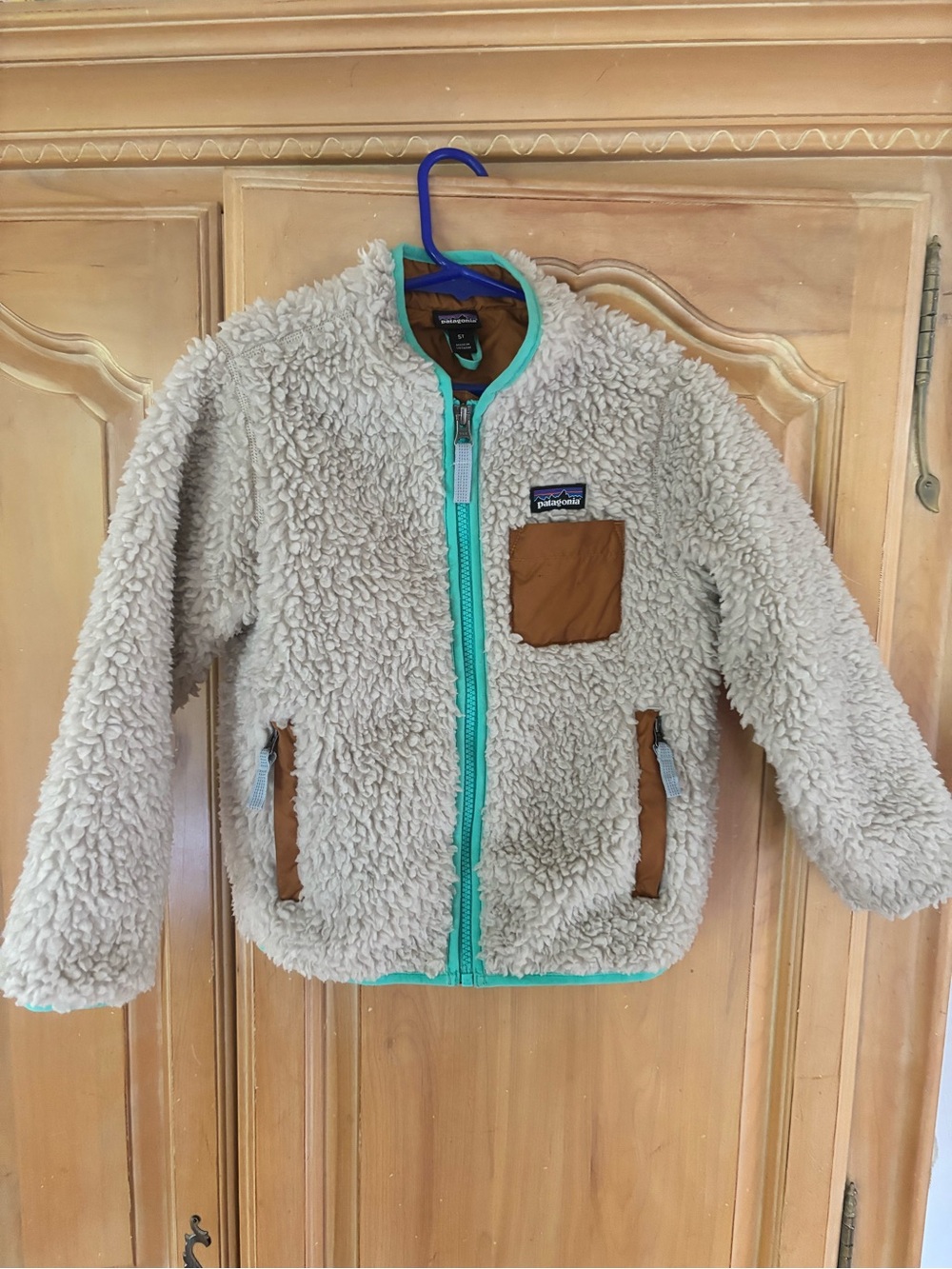 Patagonia Kids Cream Fleece Jacket with Teal Trim